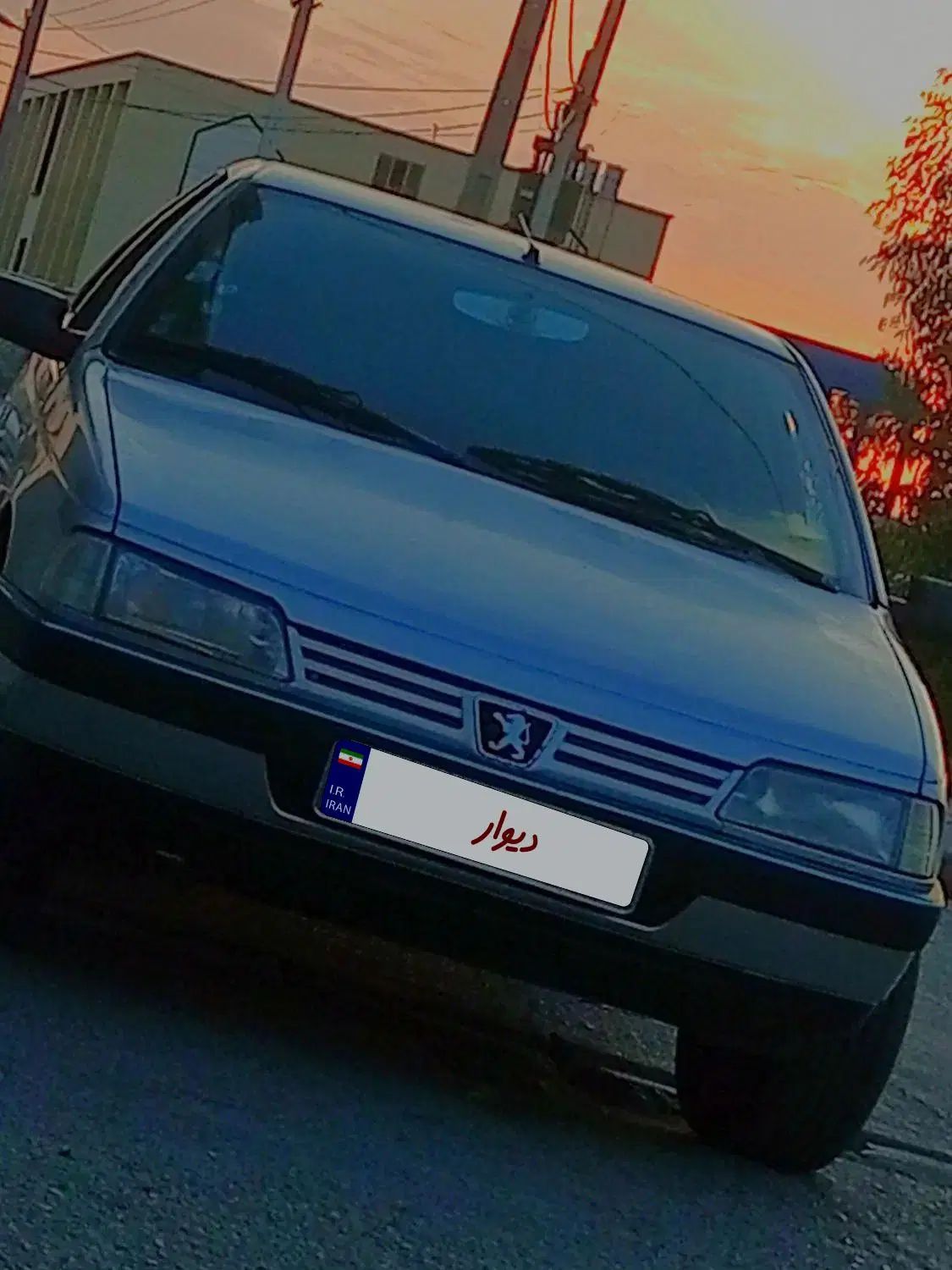 پژو 405 GLX - دوگانه سوز - 1389