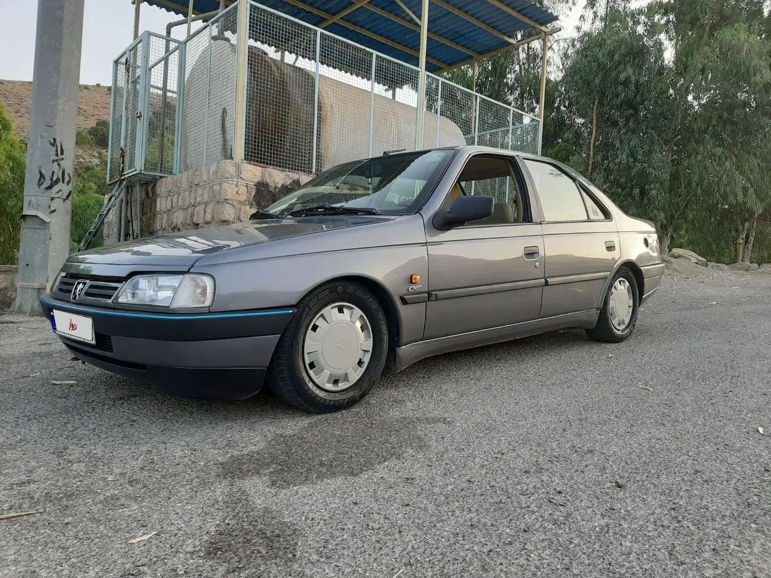 پژو 405 GLX - دوگانه سوز - 1394