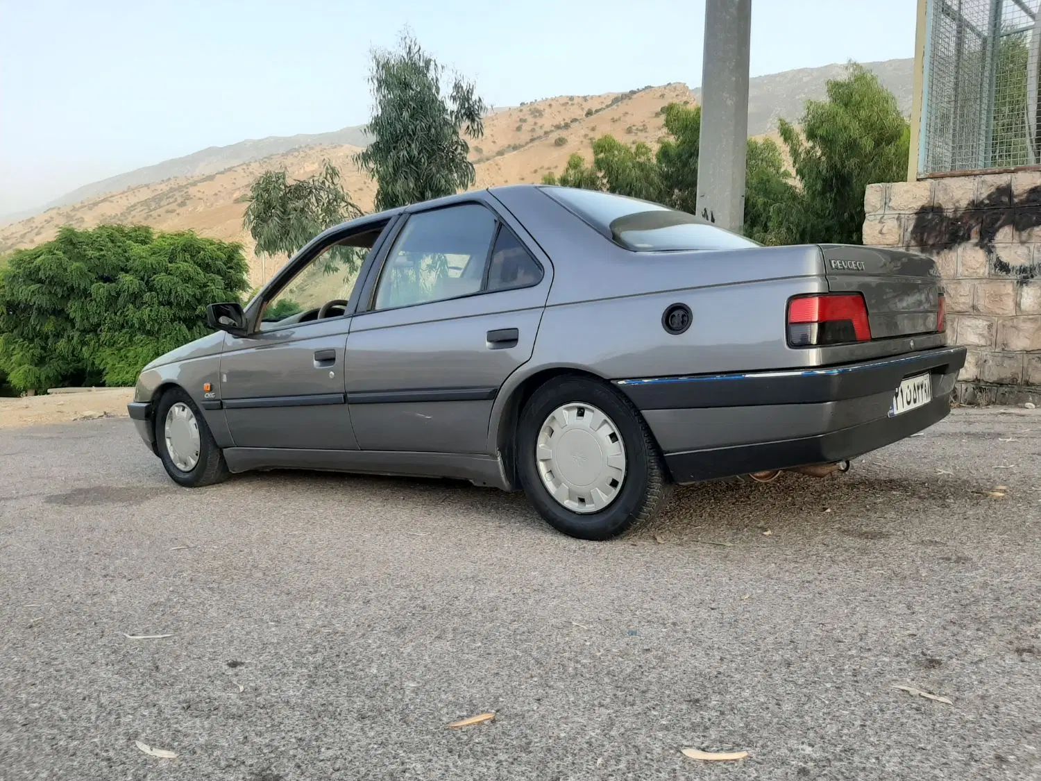 پژو 405 GLX - دوگانه سوز - 1394