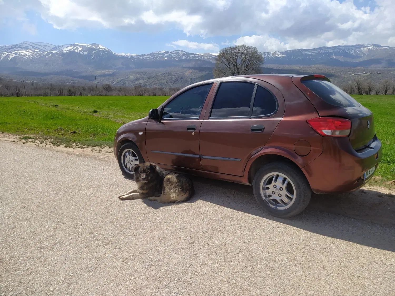 تیبا 2 SX - 1394