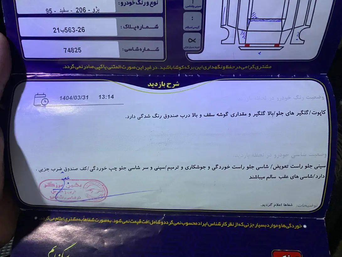 پژو 206 تیپ 5 - 1395