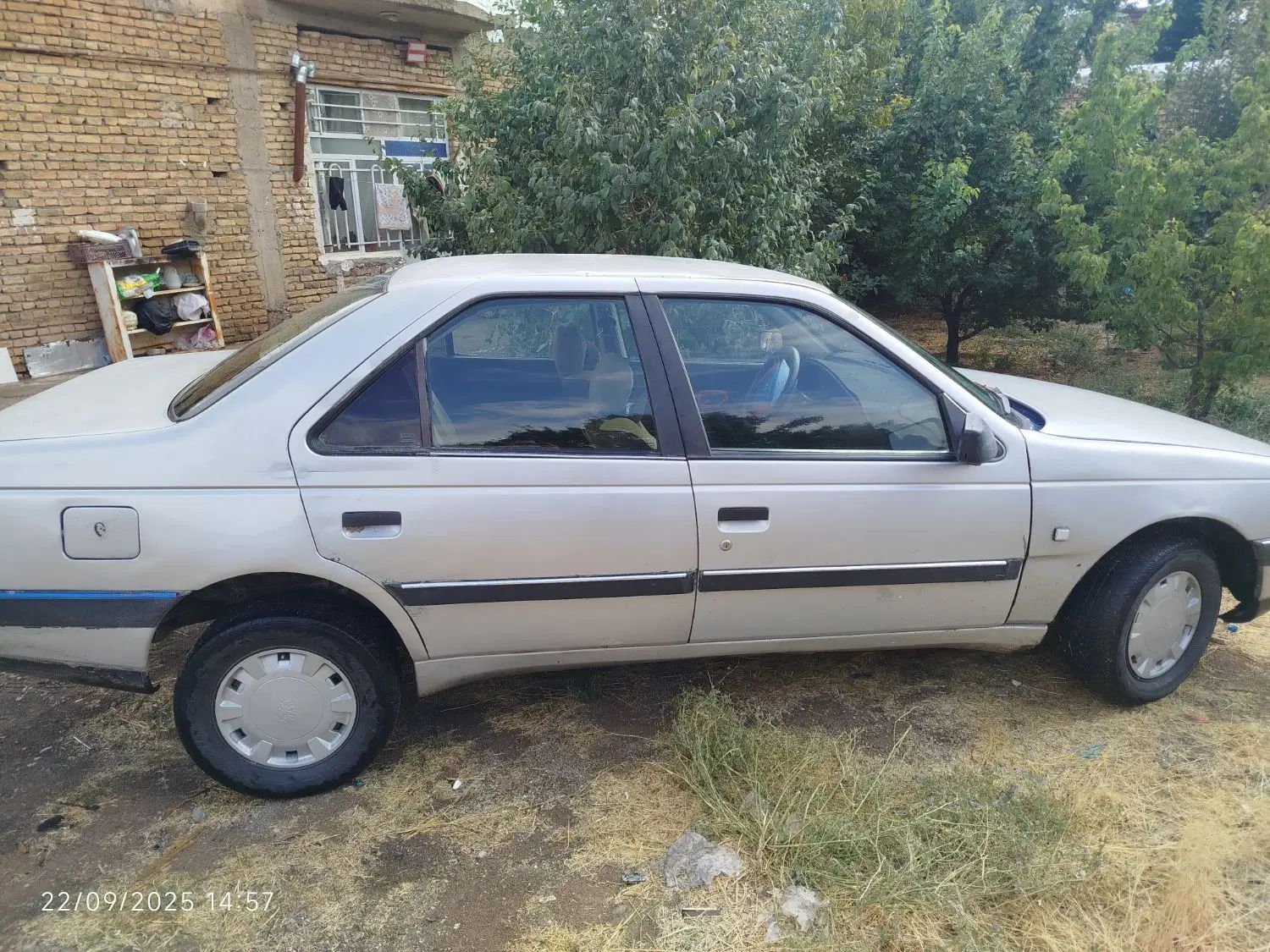 پژو 405 GL - دوگانه سوز CNG - 1379