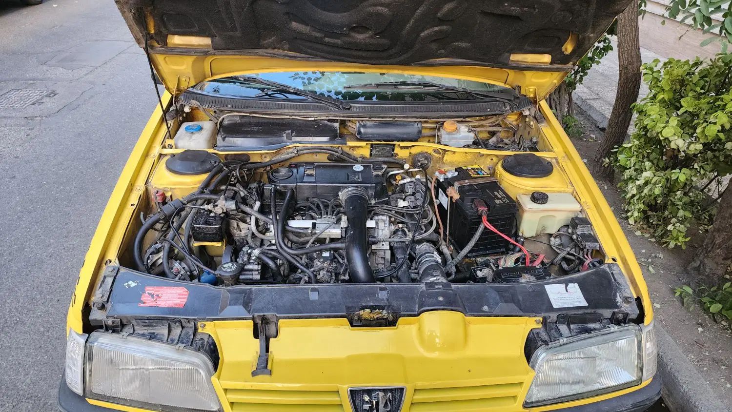 پژو 405 GLX - دوگانه سوز - 1395