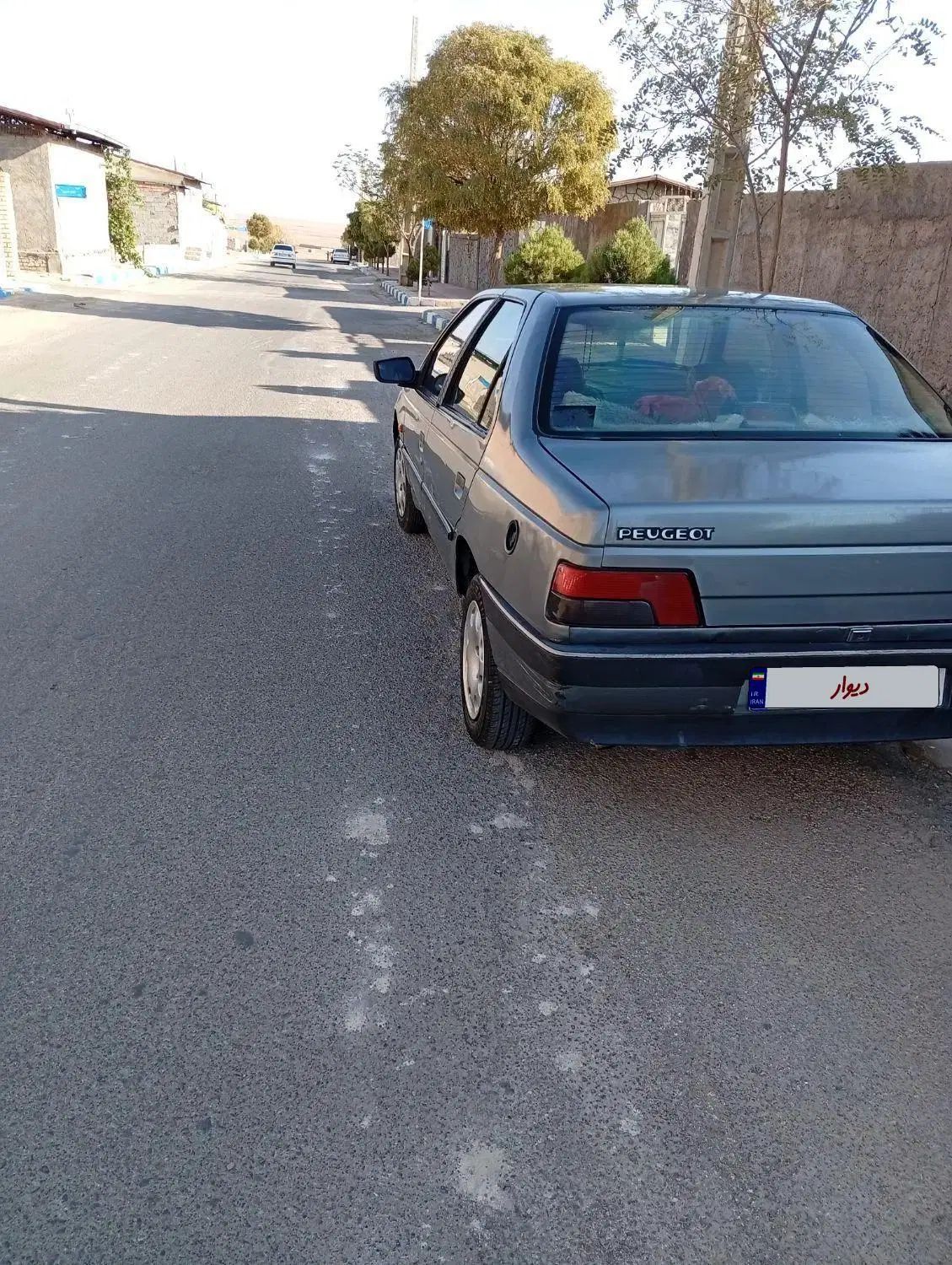 پژو 405 GLX - دوگانه سوز - 1391
