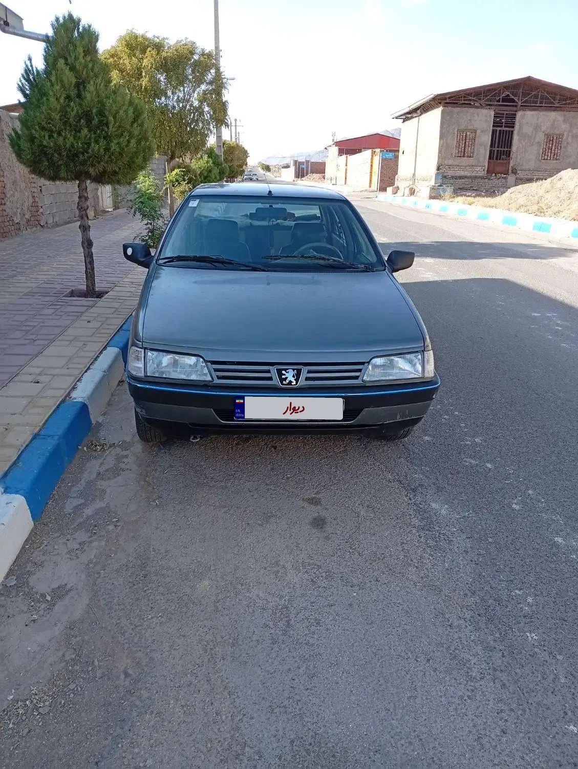 پژو 405 GLX - دوگانه سوز - 1391