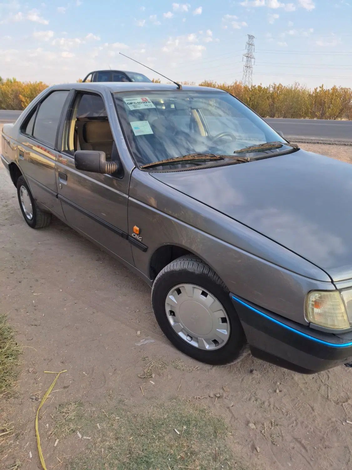 پژو 405 GLX - دوگانه سوز - 1386