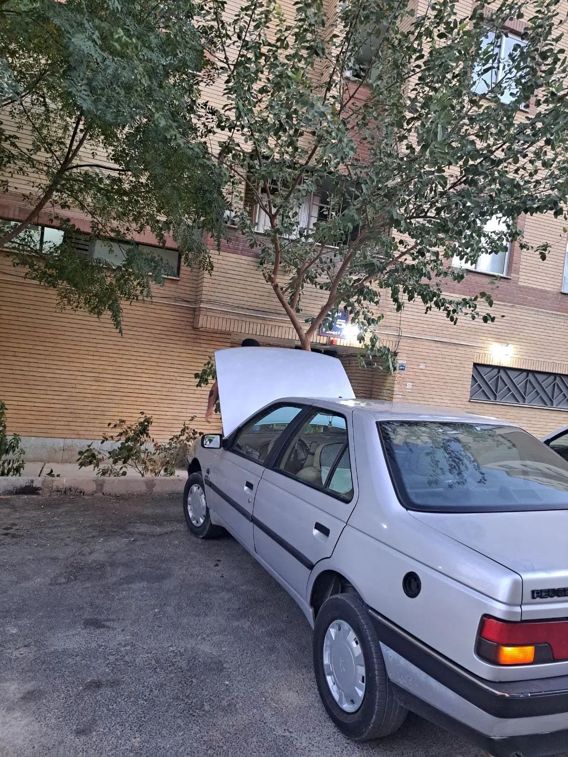 پژو 405 GLX - دوگانه سوز - 1390