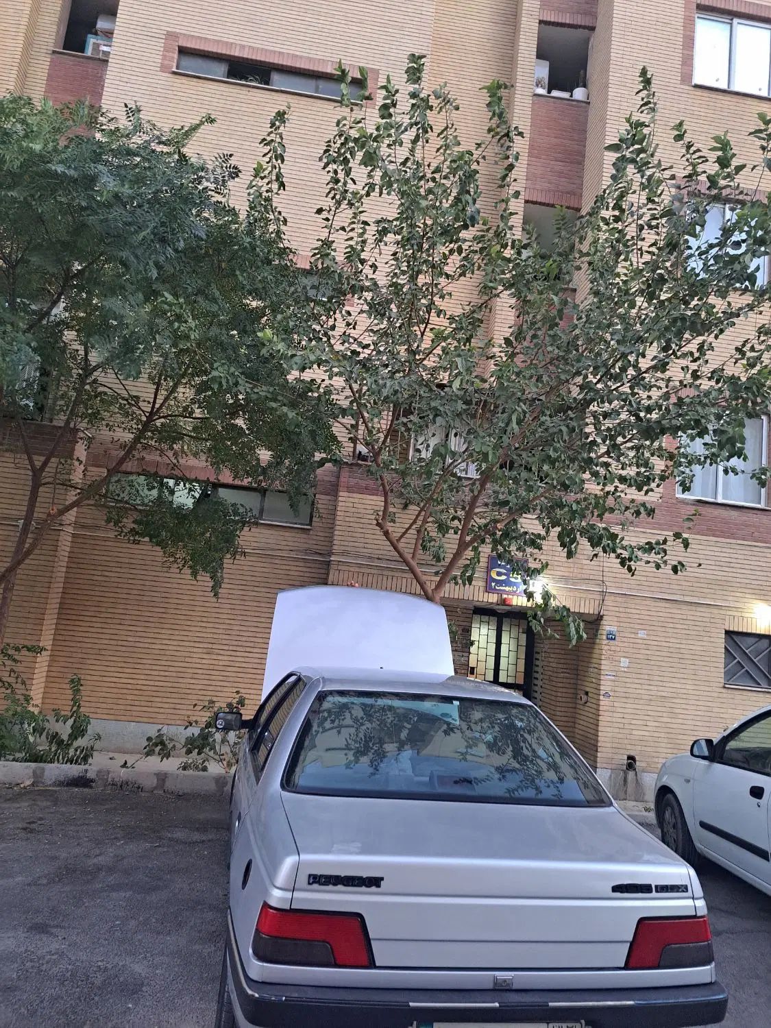 پژو 405 GLX - دوگانه سوز - 1390