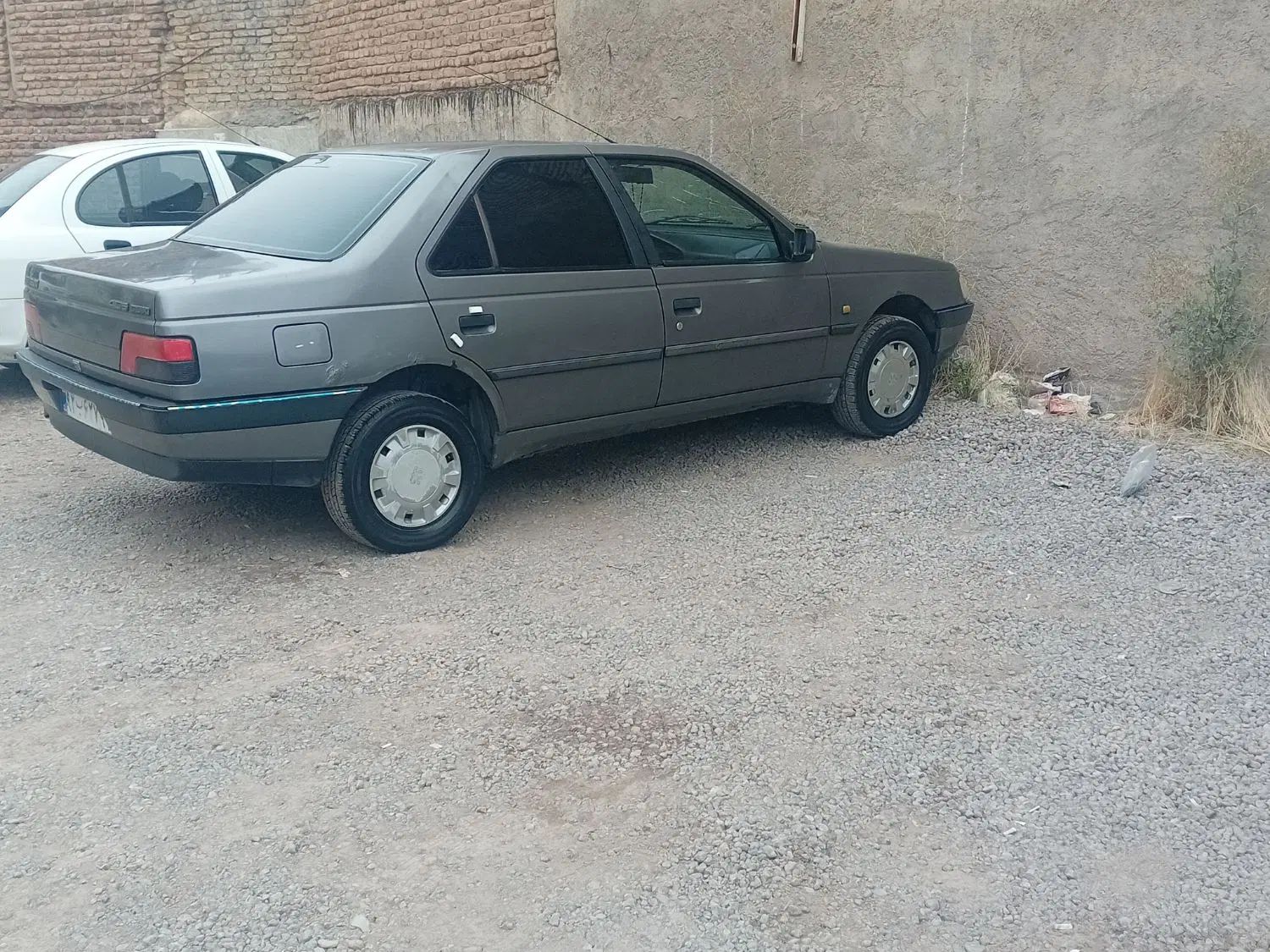 پژو 405 GLX - دوگانه سوز - 1390