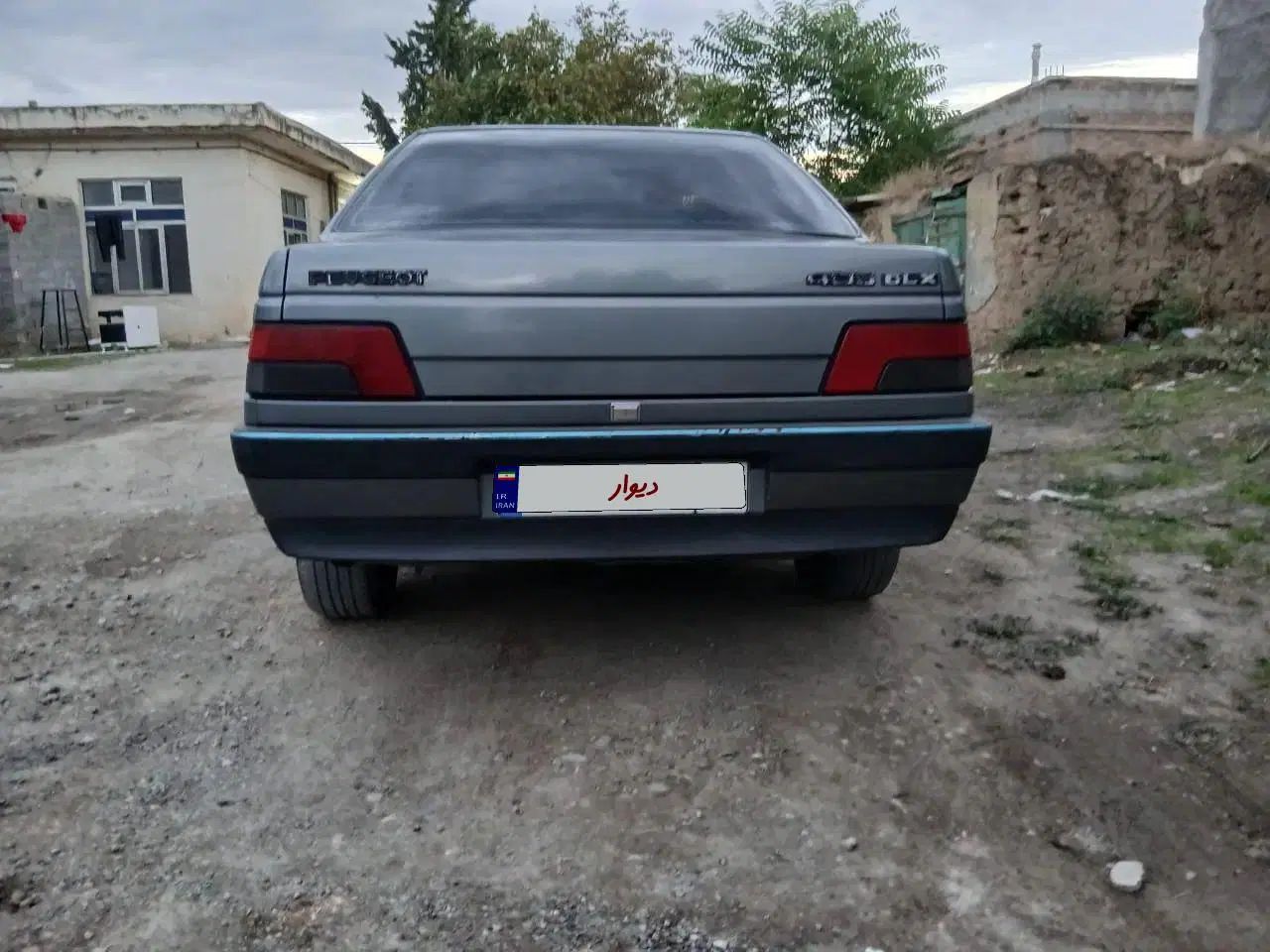 پژو 405 GLX - دوگانه سوز - 1391