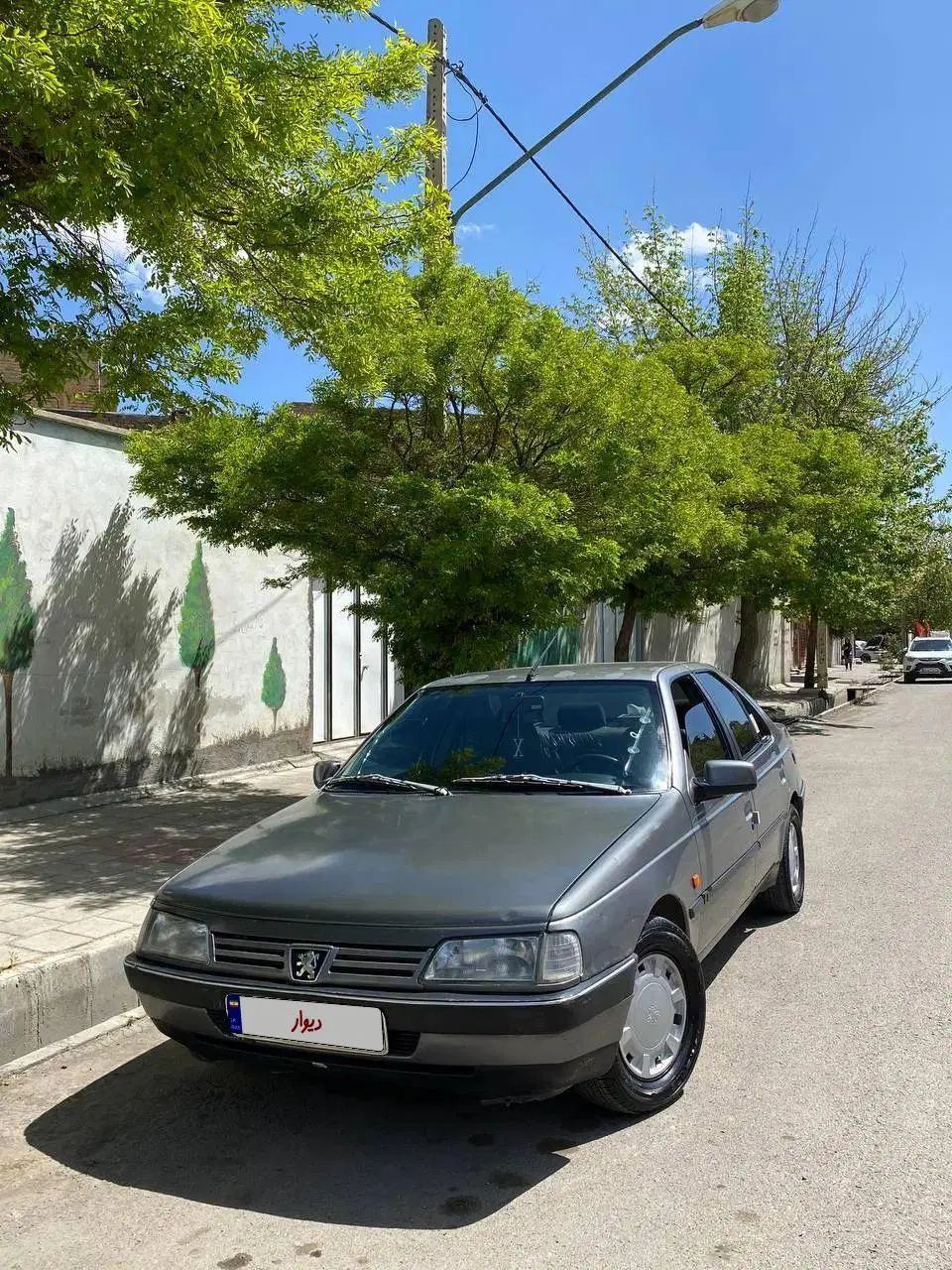 پژو 405 GLX - دوگانه سوز - 1386