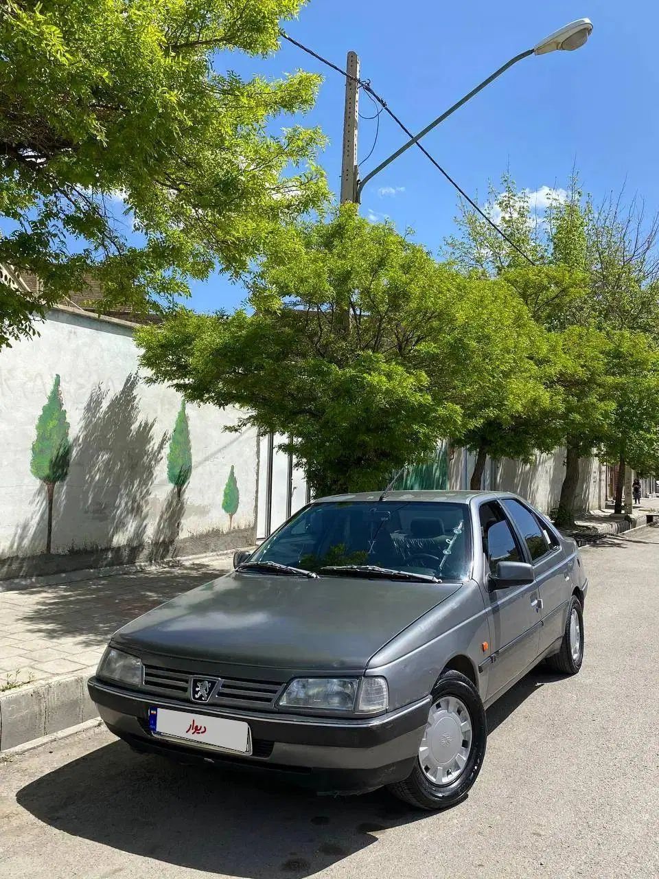 پژو 405 GLX - دوگانه سوز - 1386