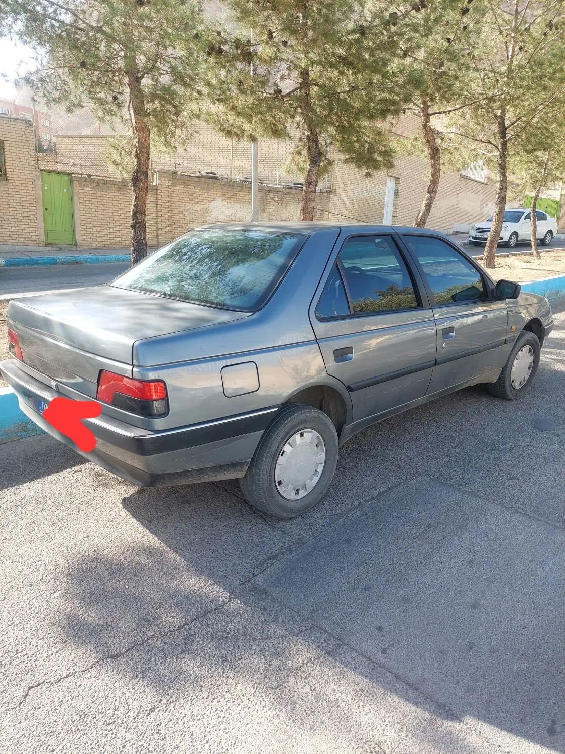 پژو 405 GLX - دوگانه سوز - 1391