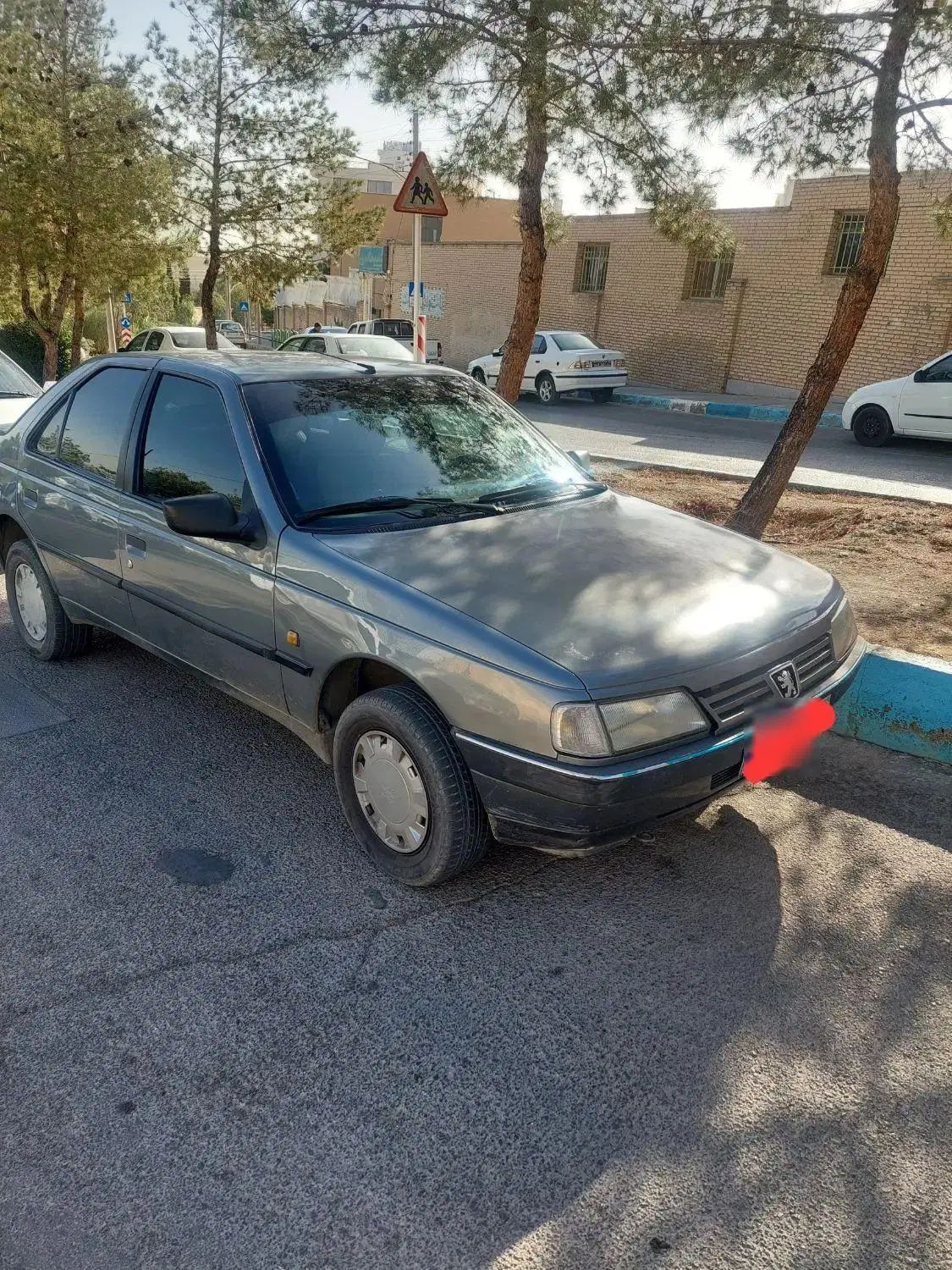 پژو 405 GLX - دوگانه سوز - 1391