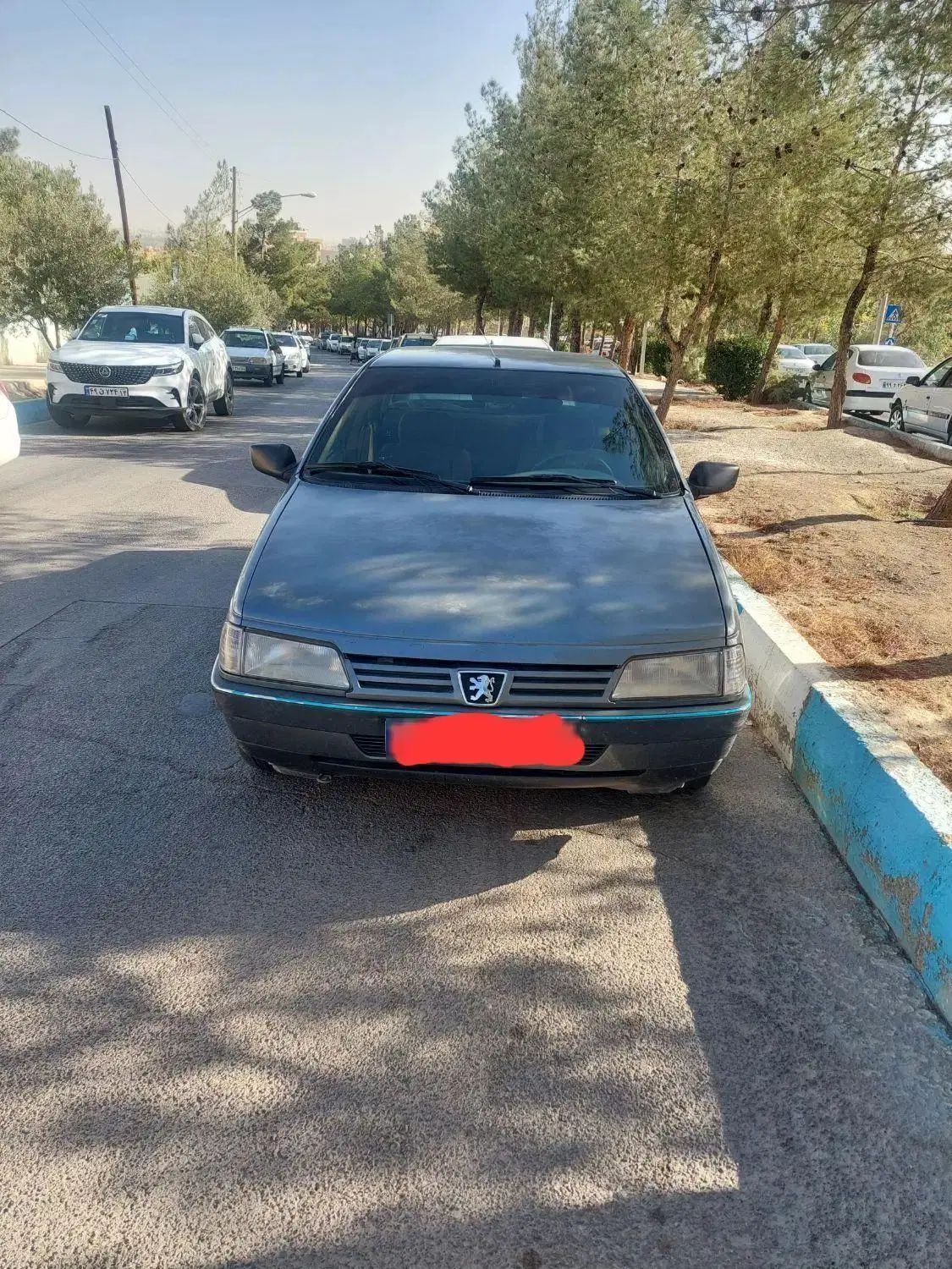 پژو 405 GLX - دوگانه سوز - 1391