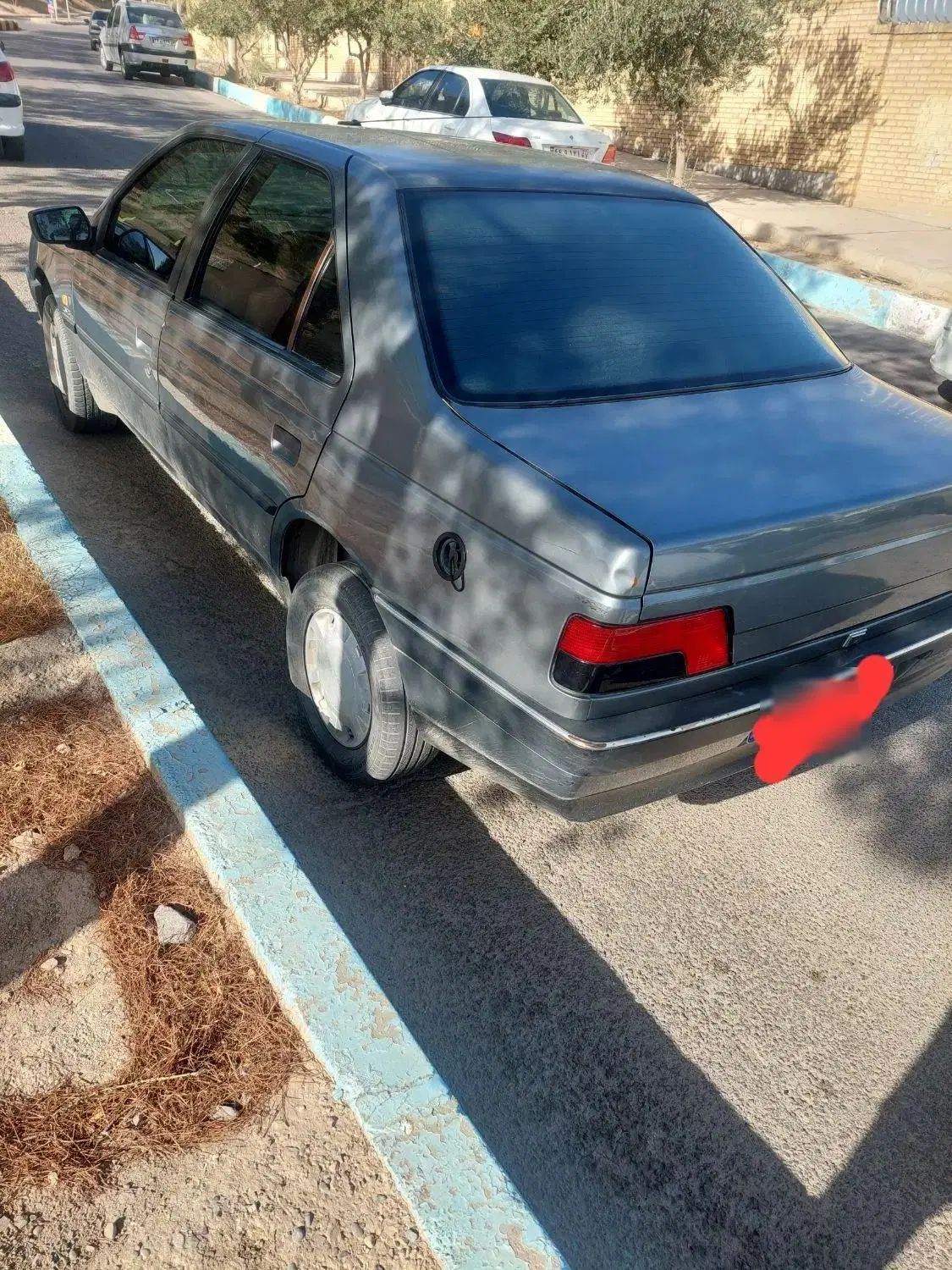 پژو 405 GLX - دوگانه سوز - 1391