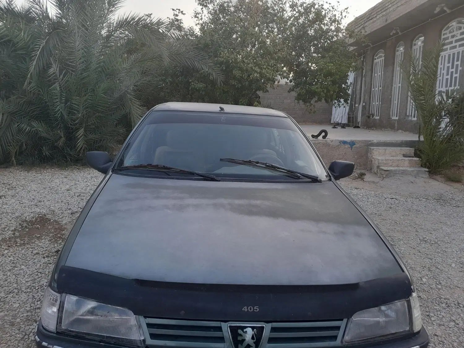 پژو 405 GLX - دوگانه سوز - 1391