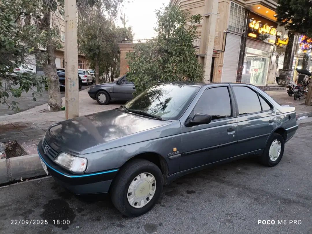 پژو 405 GLX - دوگانه سوز - 1394