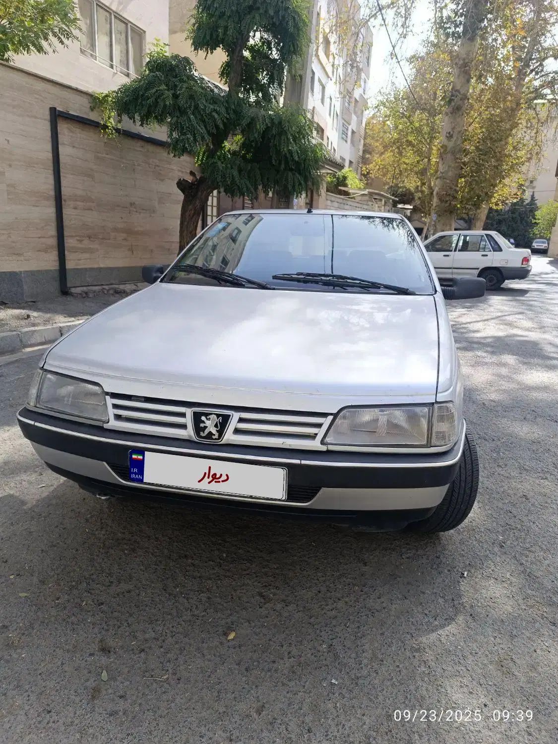 پژو 405 GLX - دوگانه سوز - 1389