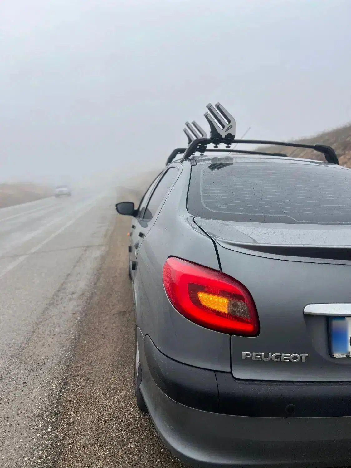 پژو ۲۰۶ صندوق دار v8 - 1395