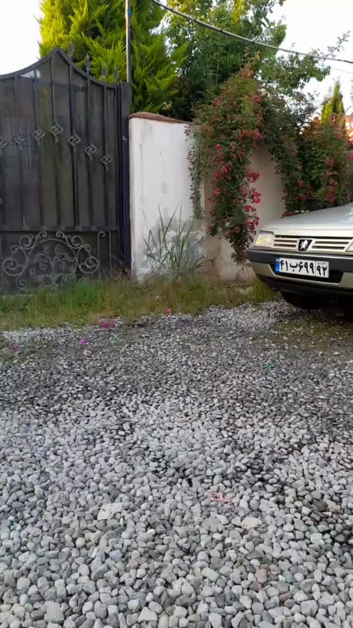 پژو 405 GL - 1376
