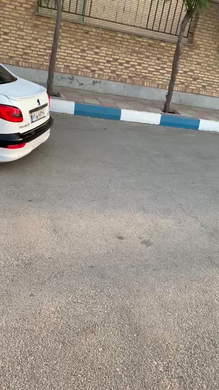 خودرو پژو، ۲۰۶ صندوق دار آگهی ann_20608977