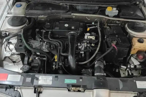 پژو 405 GLX - 1384
