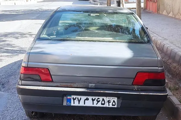 پژو 405 GLX - دوگانه سوز - 1389