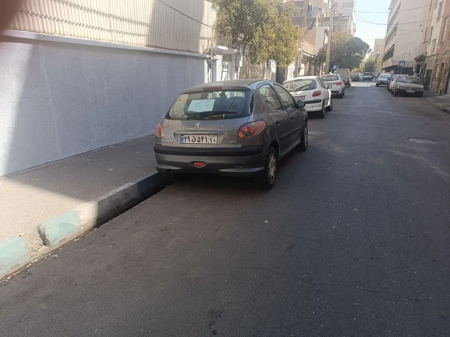 پژو 206 تیپ 5 - 1394