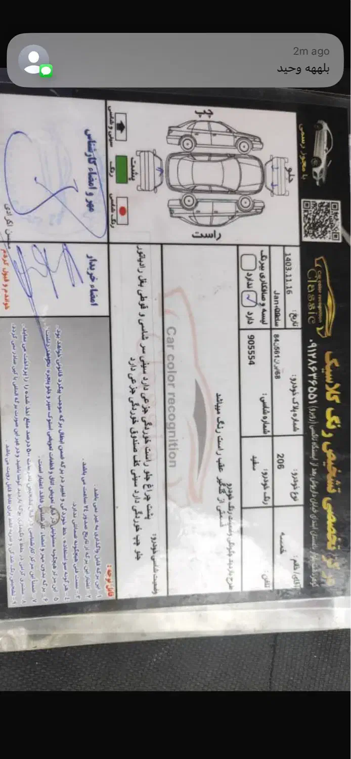 پژو 206 تیپ 5 - 1395