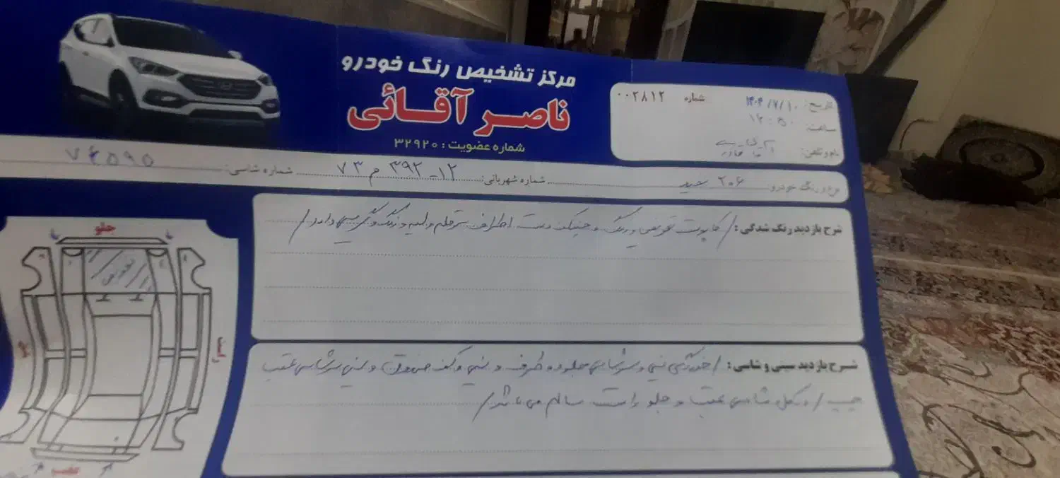 پژو 206 تیپ 2 - 1391