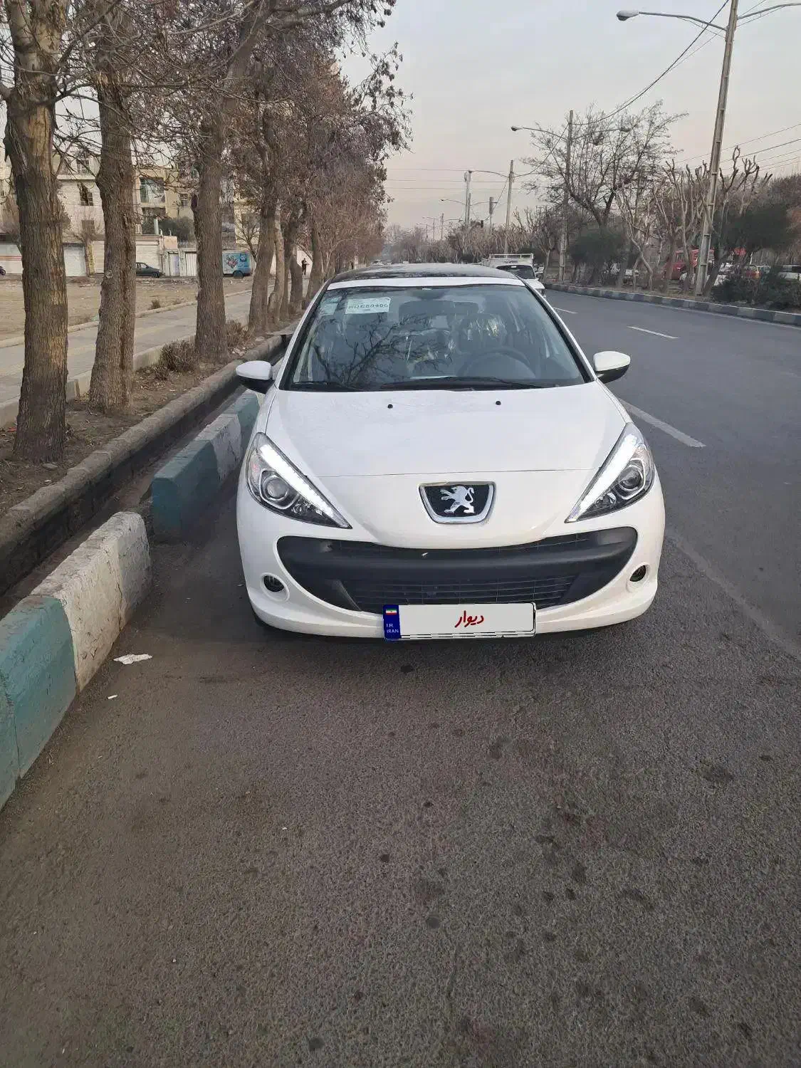خودرو پژو، 207 آگهی ann_20667073
