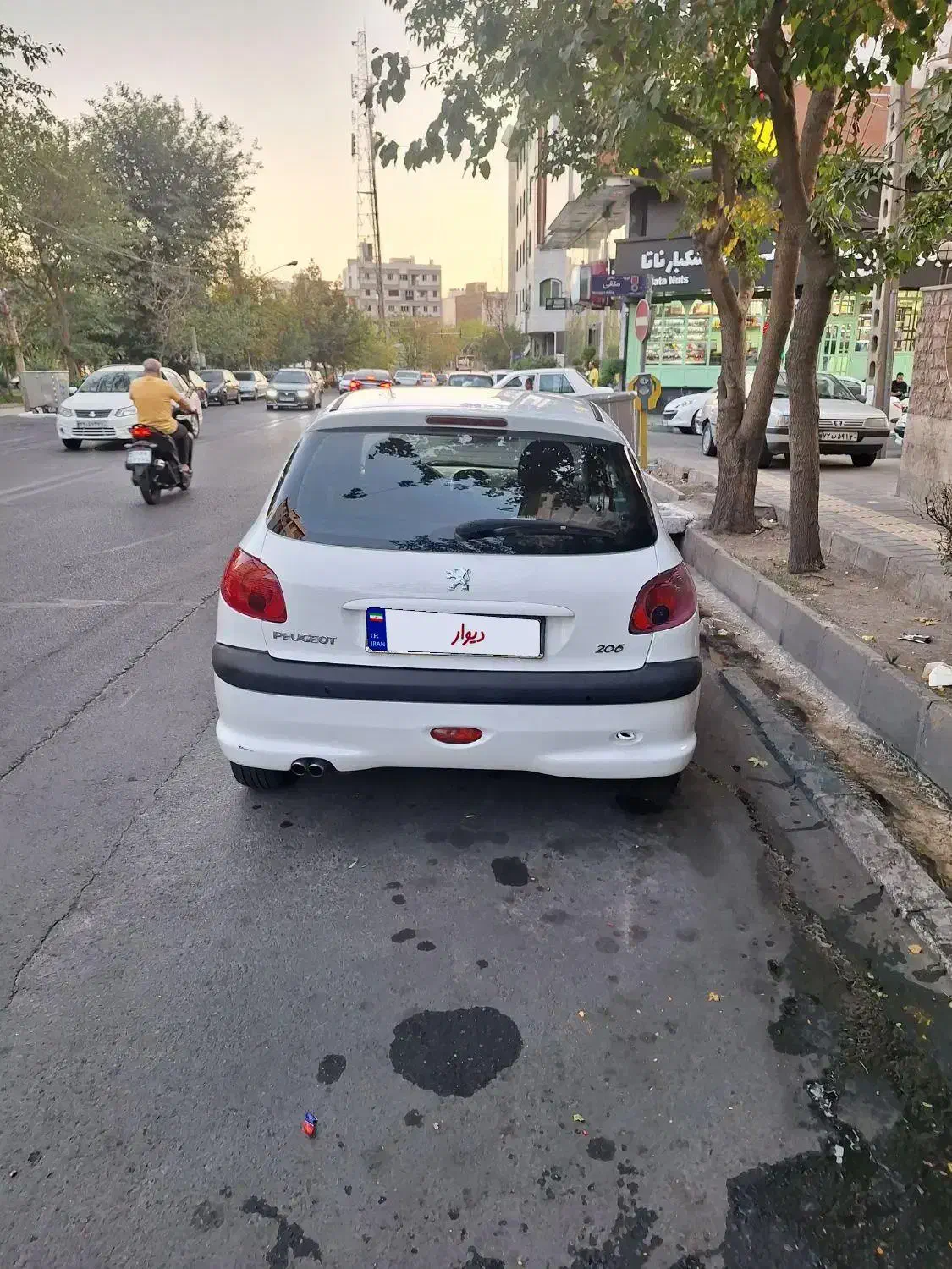 پژو 206 تیپ 5 - 1393