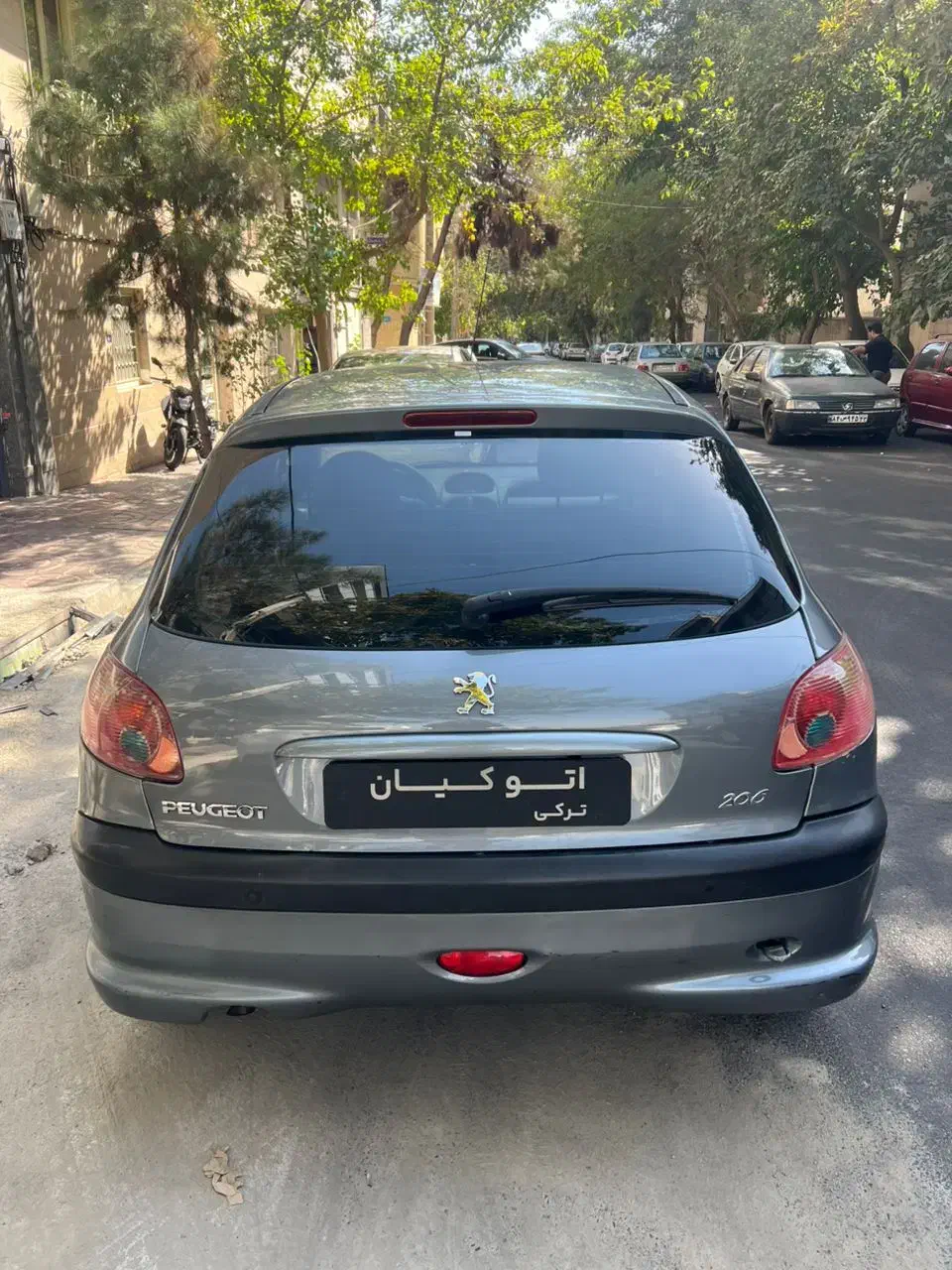 پژو 206 تیپ 2 - 1396