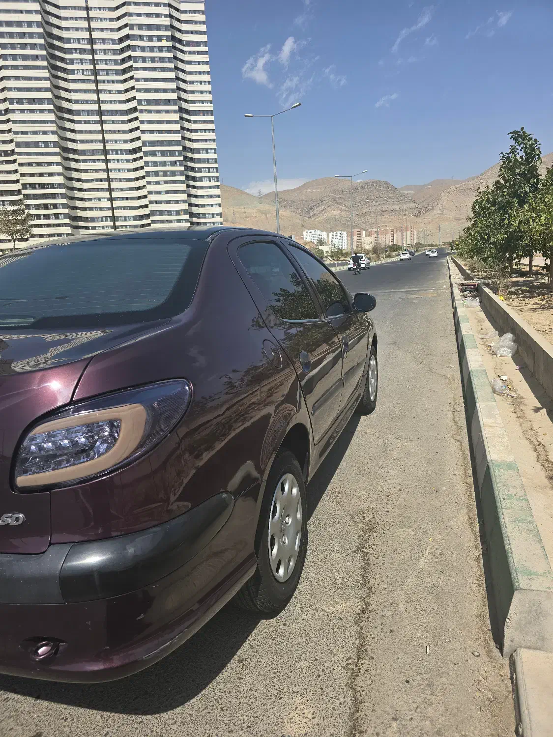 پژو 206 تیپ 5 - 1393