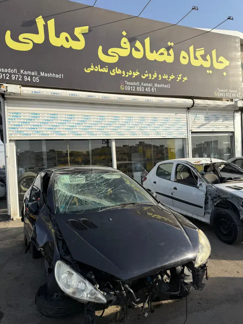 خودرو پژو، 206 آگهی ann_20678484