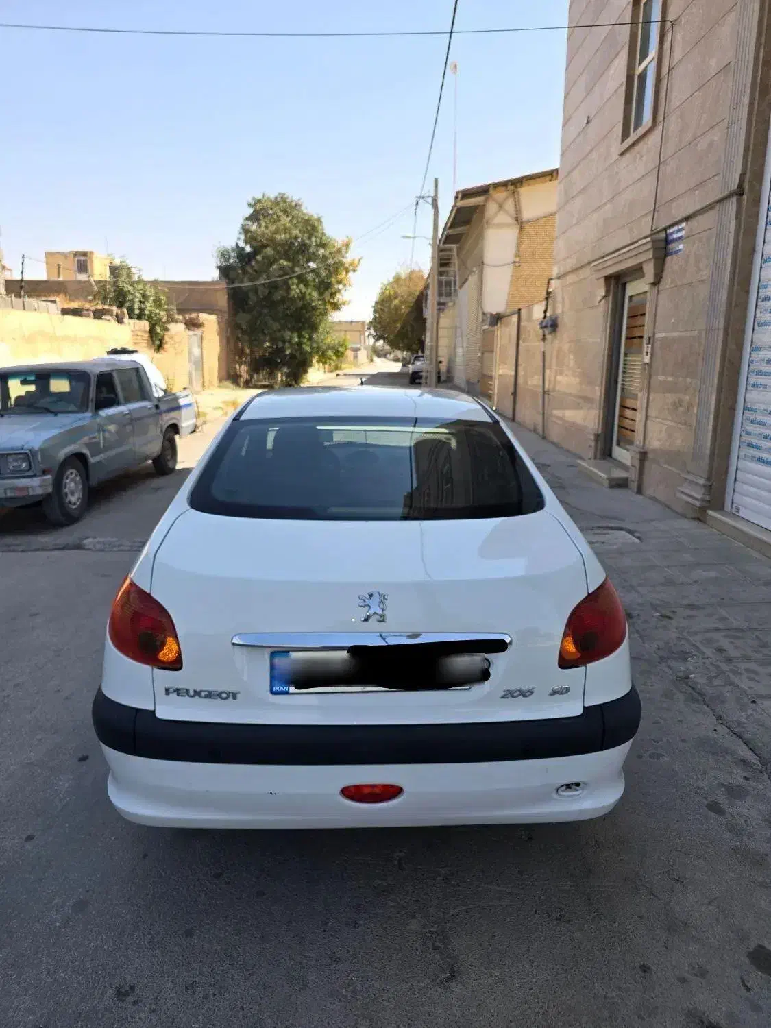 پژو 206 تیپ 5 - 1393