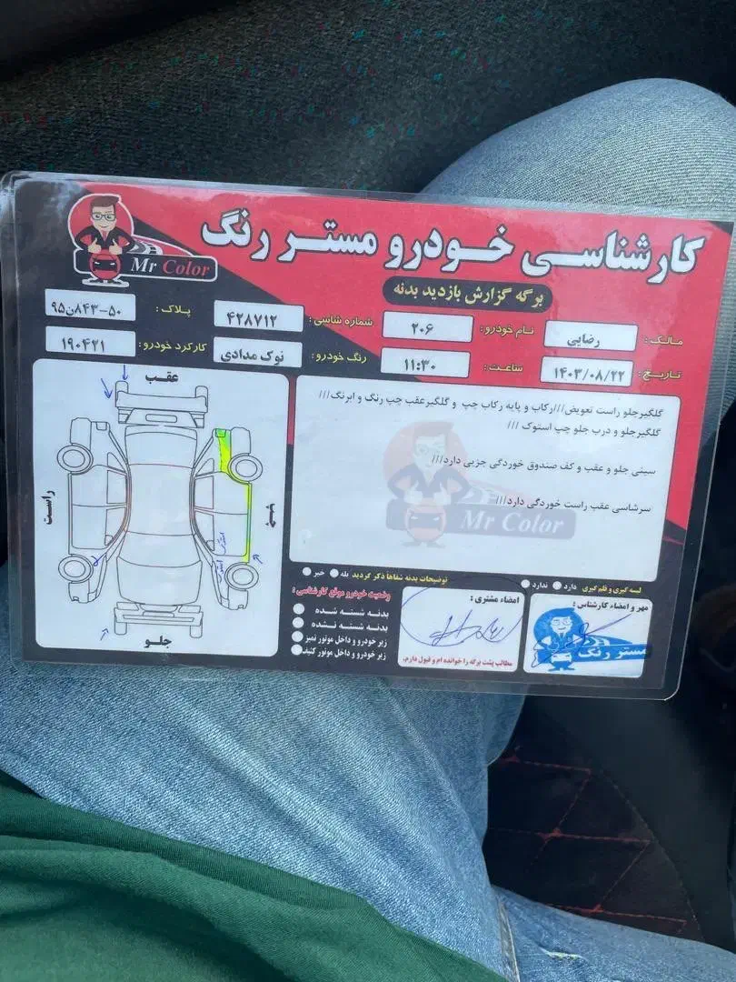 پژو 206 تیپ 5 - 1391