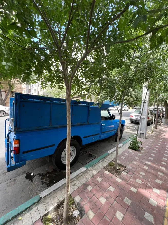 زامیاد وانت نیسانZ24 دوگانه سوز - 1396
