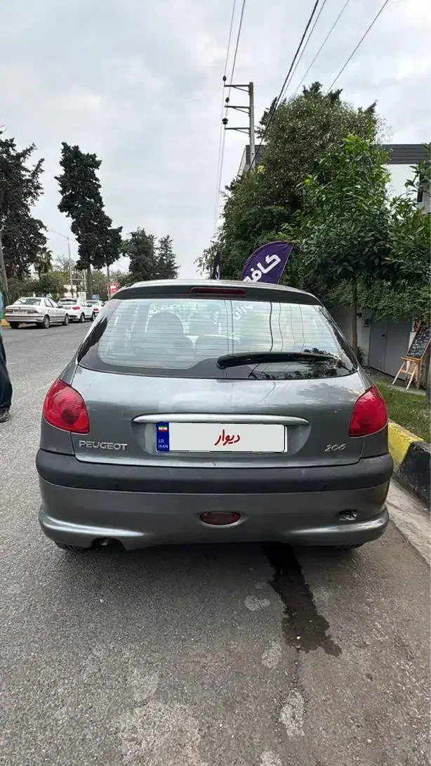 پژو 206 تیپ 5 - 1393