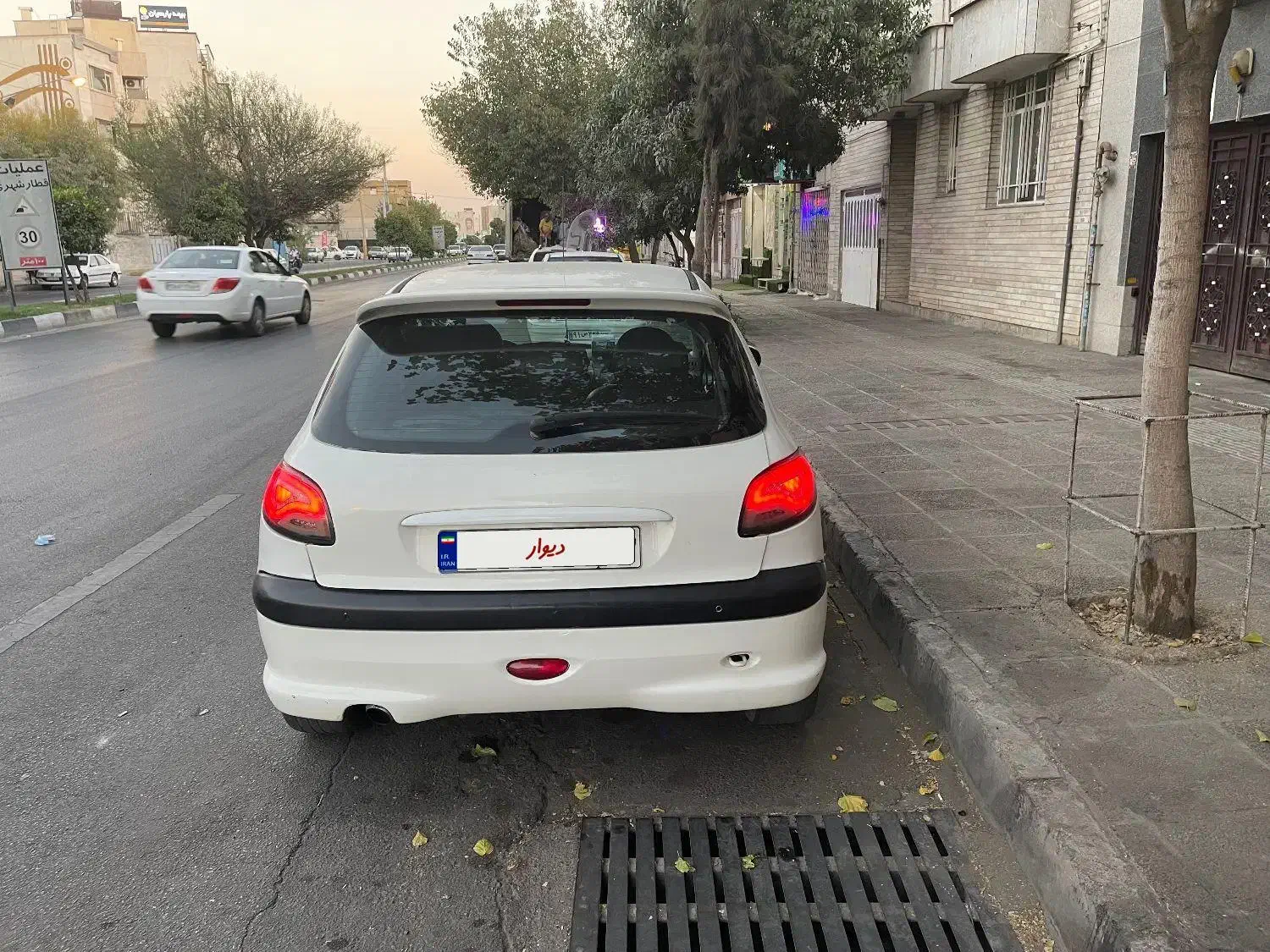 پژو 206 تیپ 5 - 1393