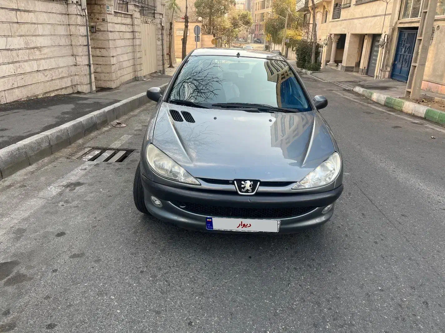 پژو 206 تیپ 5 - 1394