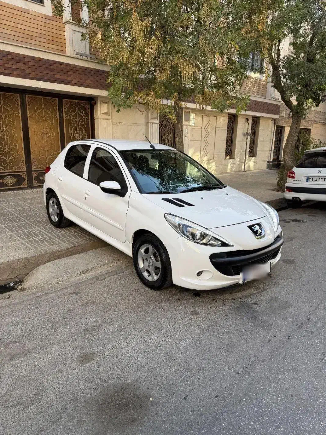 خودرو پژو، 207 آگهی ann_20696770