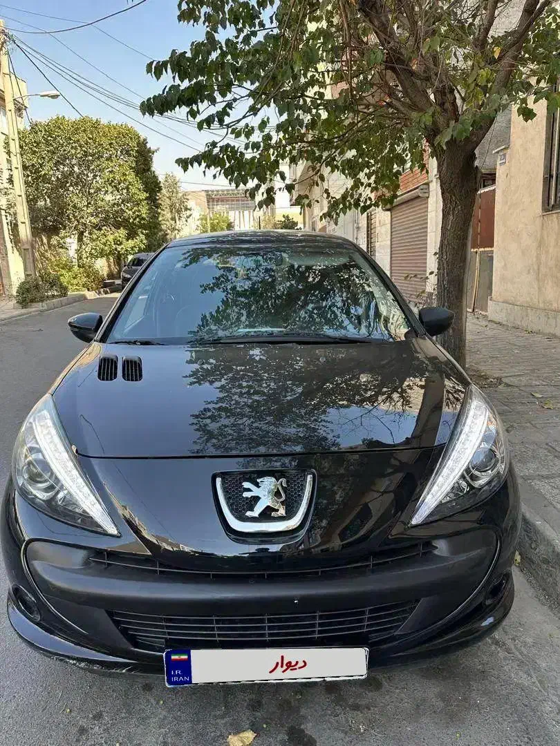 خودرو پژو، 207 آگهی ann_20696938