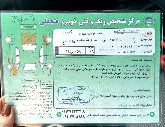 پژو 206 تیپ 5 - 1395