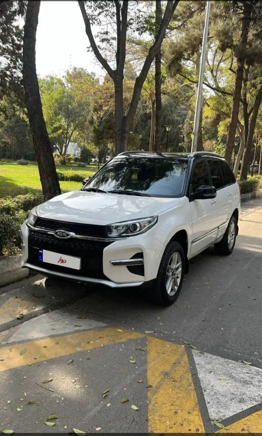 خودرو ام وی ام، X33 S آگهی ann_20738168