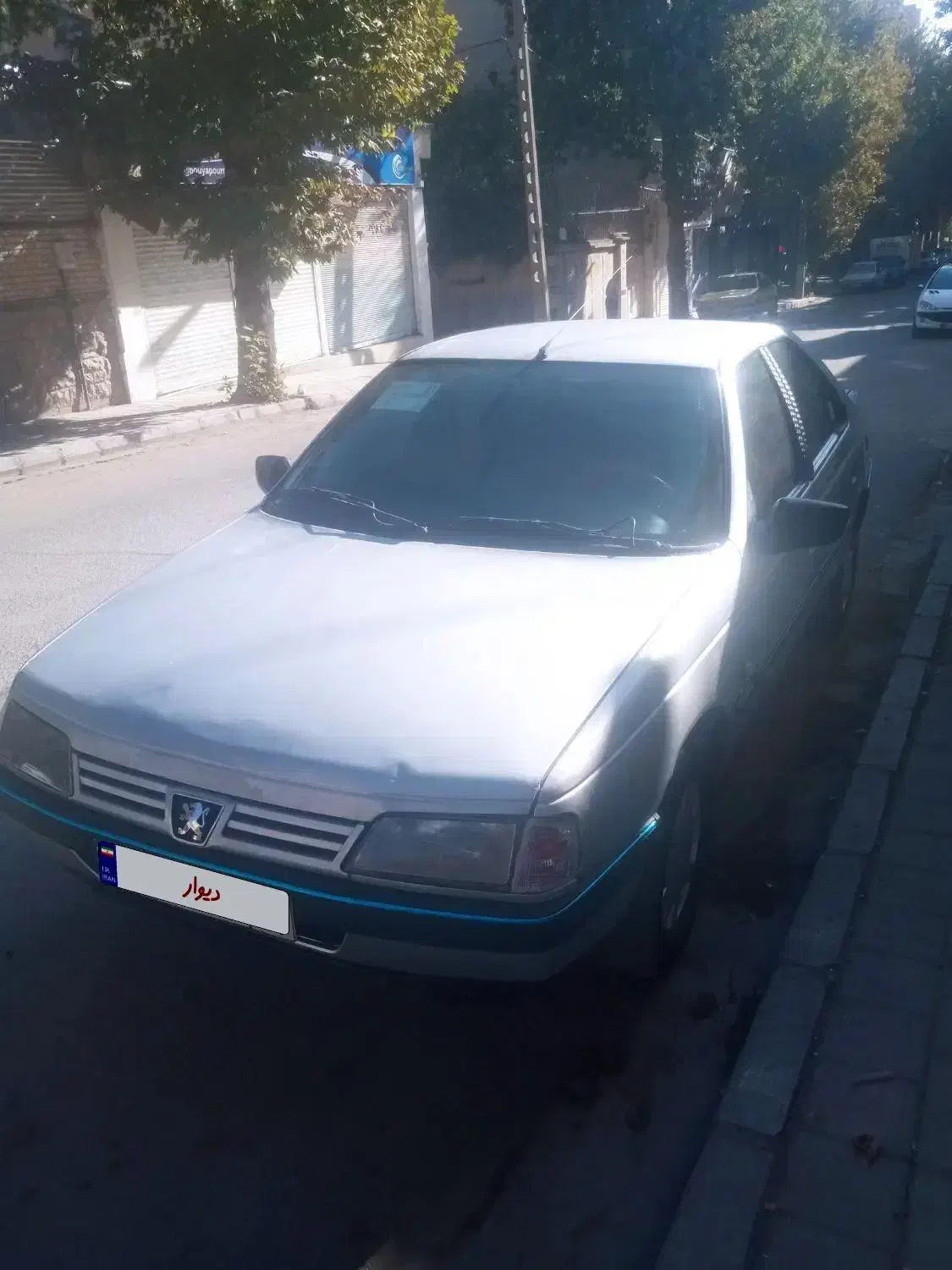 پژو 405 GLX - دوگانه سوز - 1389