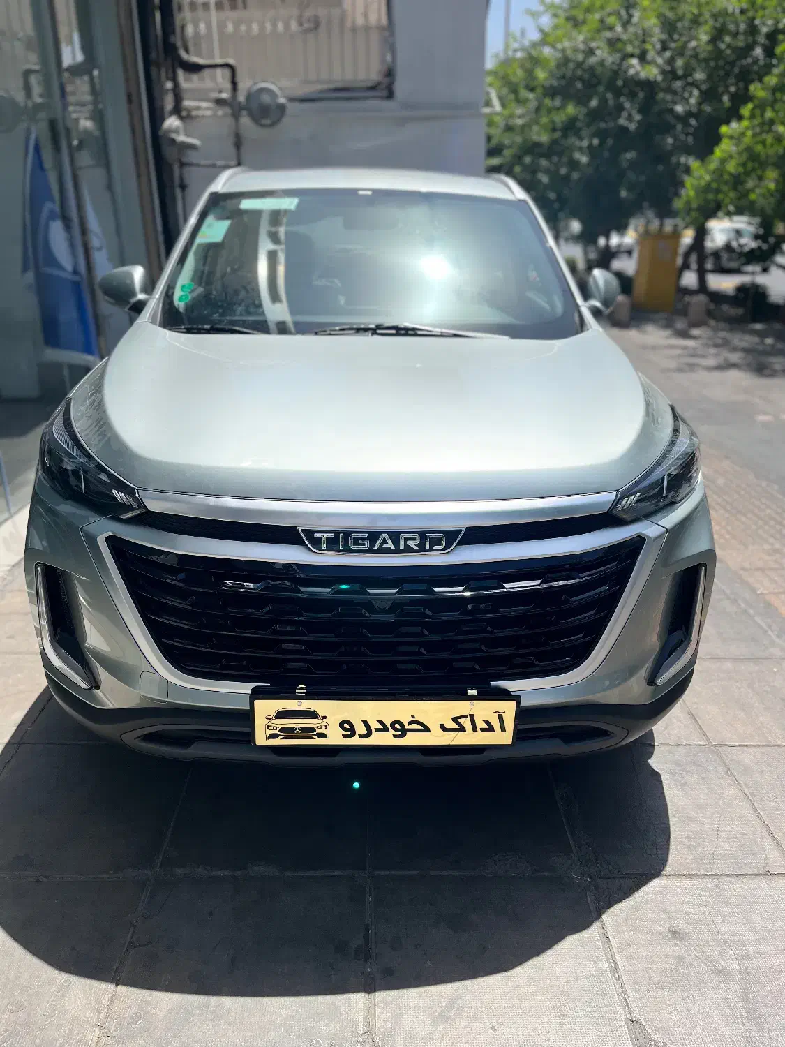 تیگارد X35 ساده - 1404
