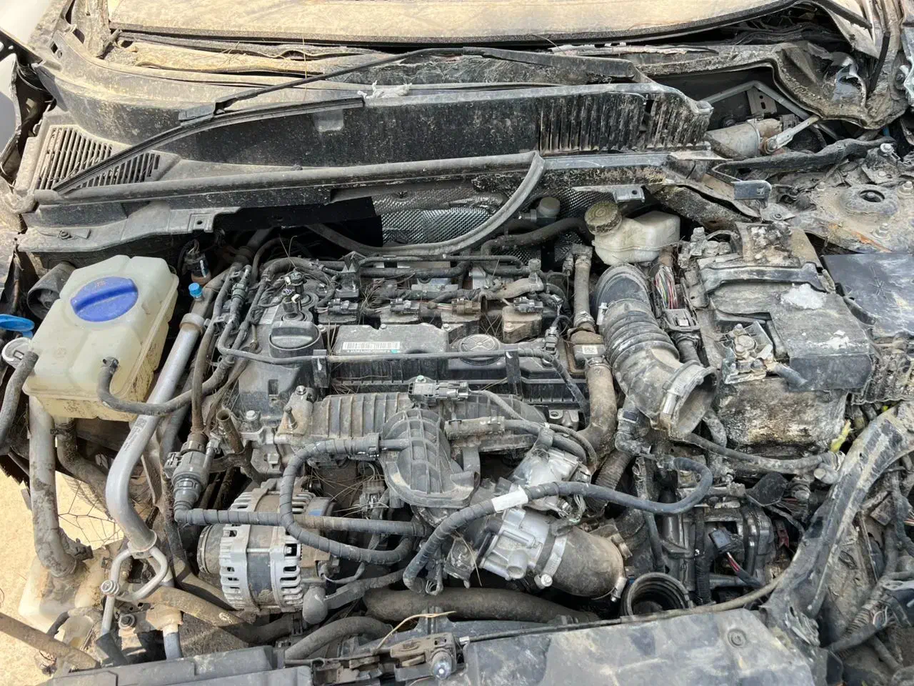 فونیکس آریزو 6 GT اکسلنت - 2024