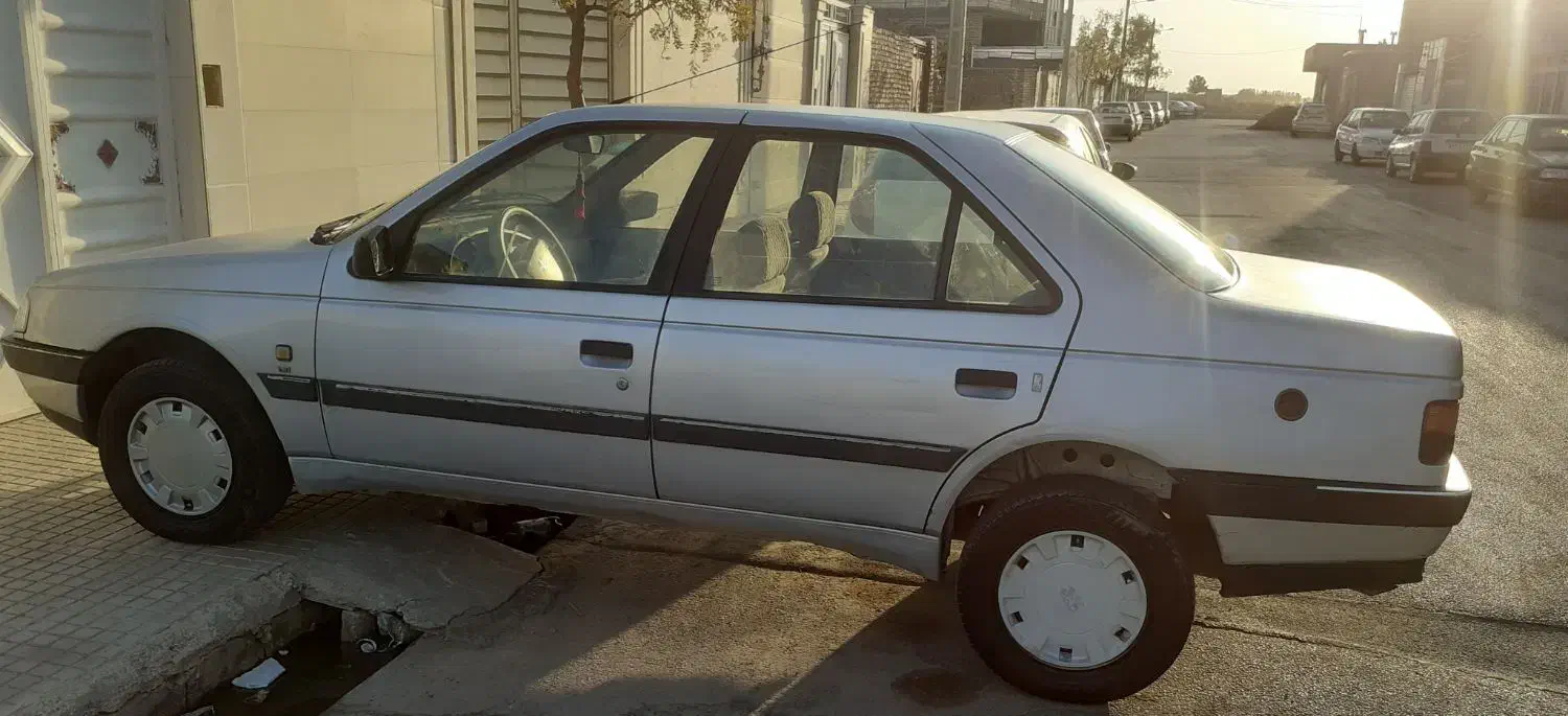 پژو 405 GLX - دوگانه سوز - 1391